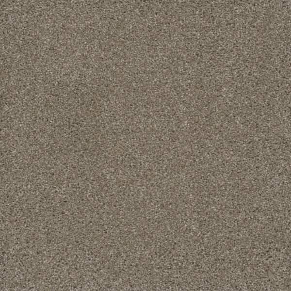 Dreamweaver Carpet Smart Squares Easy Street Acorn Carpet SQ105_858