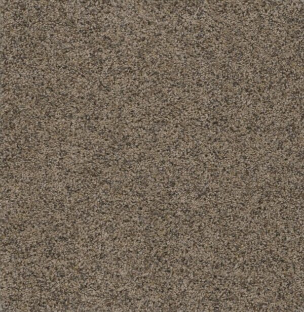 Dreamweaver Carpet Smart Squares Piece Of Cake Leather Carpet SQ106_858