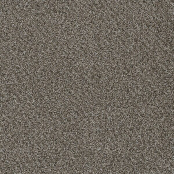 Dreamweaver Carpet Smart Squares Walk In The Park Lace Agate Carpet SQ107_377