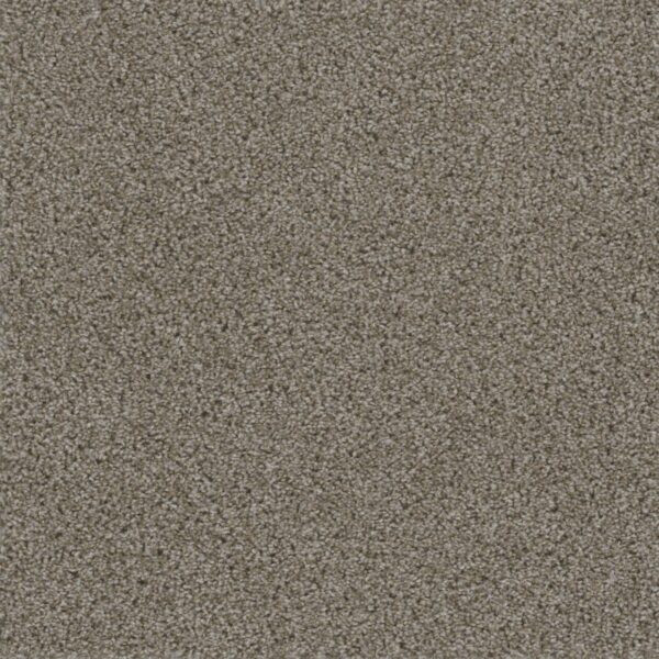 Dreamweaver Carpet Smart Squares Walk In The Park Granite Carpet SQ107_444