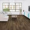 COREtec Plus Grande Willis Oak 9" VV662-03003 - Image 2