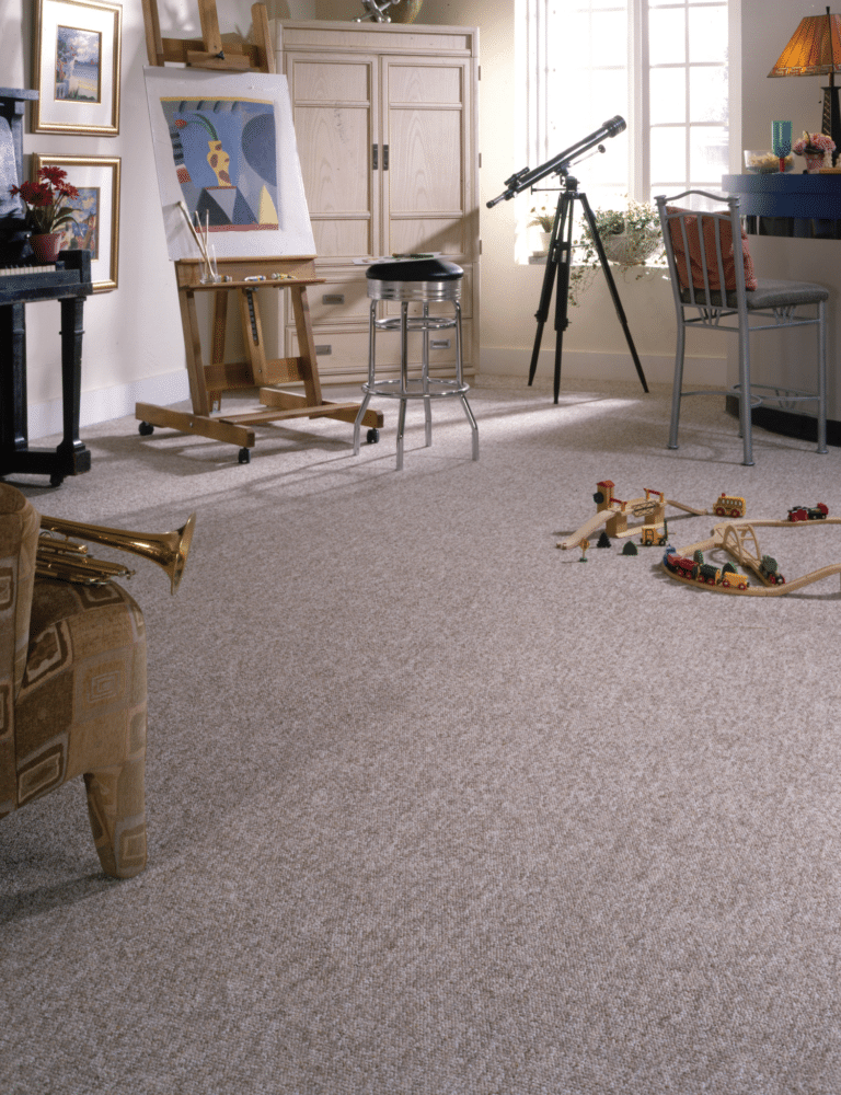 shop shaw carpet for playroom