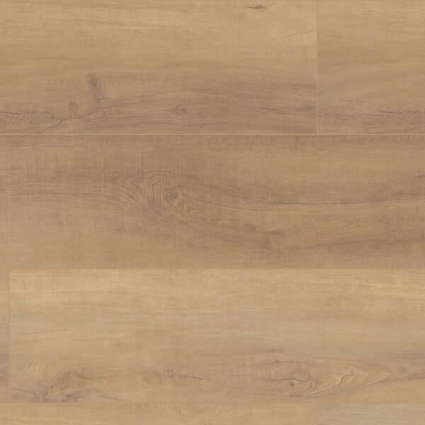 COREtec Pro Plus HD Canterbury Elm 9" VV488-02093