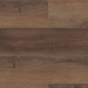 COREtec Pro Plus HD Cheshire Elm 9" VV488-02094