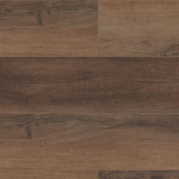 COREtec Pro Plus HD Cheshire Elm 9" VV488-02094