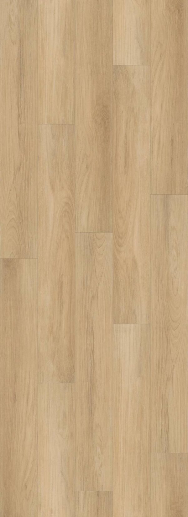 Shaw Vinyl DISTINCTION PLUS Golden Timber 02101_2045V - Image 2