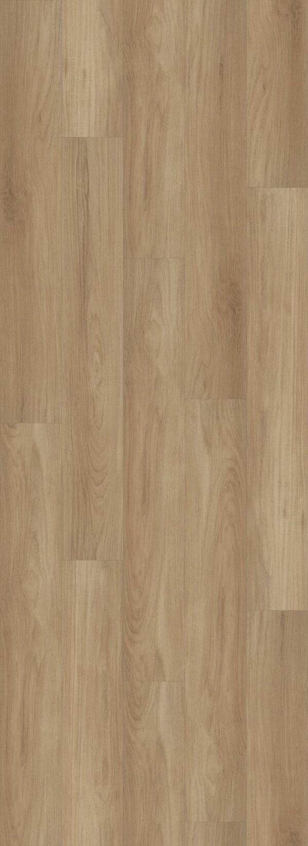 Shaw Vinyl DISTINCTION PLUS Hazelnut Brown 07320_2045V - Image 2