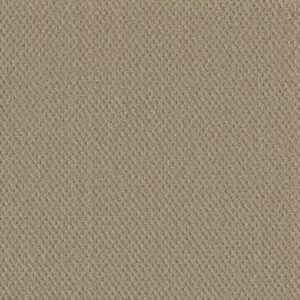 Dreamweaver Carpet Prime Soft Pine Carpet 2125_6317