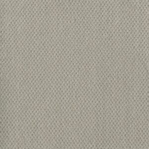 Dreamweaver Carpet Prime Snow Cap Carpet 2125_6319