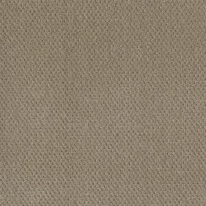 Dreamweaver Carpet Prime Warm Sand Carpet 2125_6339