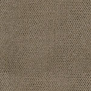 Dreamweaver Carpet Prime Deer Path Carpet 2125_6564