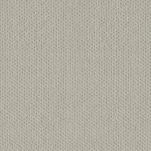Dreamweaver Carpet Prime Cloud Nine Carpet 2125_6809