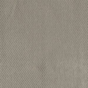 Dreamweaver Carpet Prime Arrowhead Carpet 2125_6827