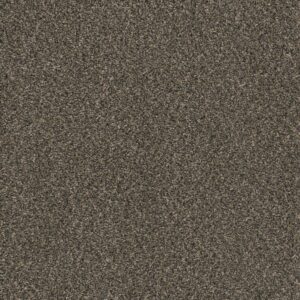 Dreamweaver Carpet Sweepstakes Belle Grove Carpet 2200_328