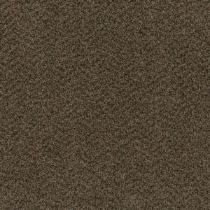 Dreamweaver Carpet Sweepstakes Rustic Charm Carpet 2200_383