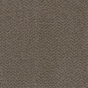Dreamweaver Carpet Sweepstakes Crystal Carpet 2200_747