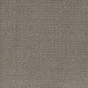 Dreamweaver Carpet Superb Stratosphere Carpet 2225_6054