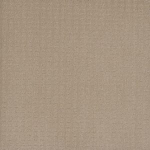 Dreamweaver Carpet Superb Soft Pine Carpet 2225_6317