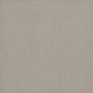 Dreamweaver Carpet Superb Snow Cap Carpet 2225_6319