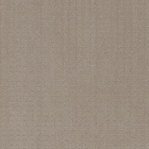 Dreamweaver Carpet Superb Warm Sand Carpet 2225_6339