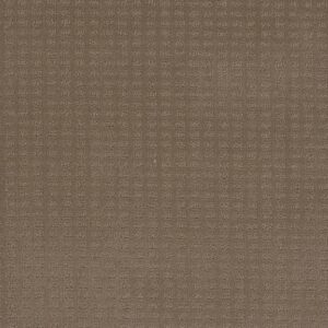 Dreamweaver Carpet Superb Deer Path Carpet 2225_6564