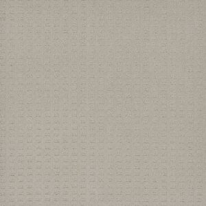 Dreamweaver Carpet Superb Cloud Nine Carpet 2225_6809