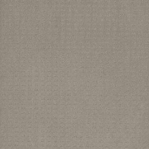 Dreamweaver Carpet Superb Arrowhead Carpet 2225_6827