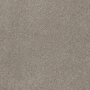 Dreamweaver Carpet Cape Cod Ancient Marble Carpet 2540_473