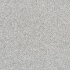 Dreamweaver Carpet Cape Cod Morning Dove Carpet 2540_813
