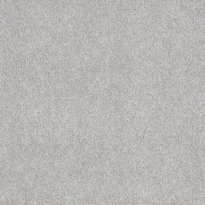 Dreamweaver Carpet East Hampton Slumber Carpet 2550_926