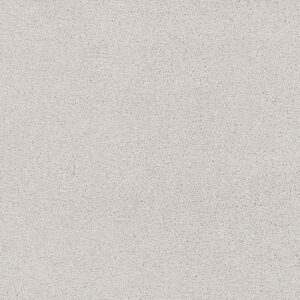 Dreamweaver Carpet Montauk Snowbird Carpet 2560_944