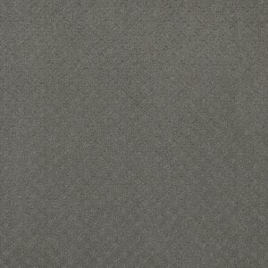 Dreamweaver Carpet Stellar Skyway Carpet 2725_6009