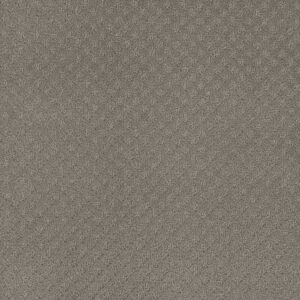 Dreamweaver Carpet Stellar Stratosphere Carpet 2725_6054