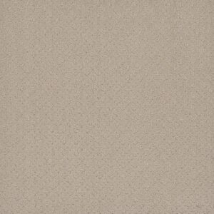 Dreamweaver Carpet Stellar Champagne Fizz Carpet 2725_6309