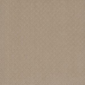 Dreamweaver Carpet Stellar Soft Pine Carpet 2725_6317