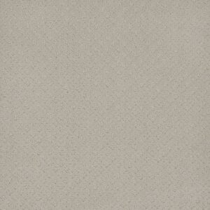 Dreamweaver Carpet Stellar Snow Cap Carpet 2725_6319