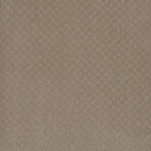 Dreamweaver Carpet Stellar Warm Sand Carpet 2725_6339