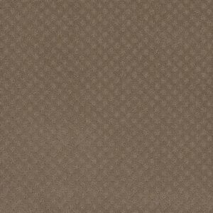 Dreamweaver Carpet Stellar Deer Path Carpet 2725_6564