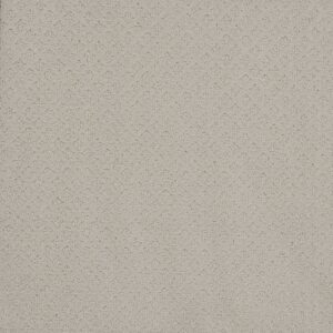 Dreamweaver Carpet Stellar Cloud Nine Carpet 2725_6809