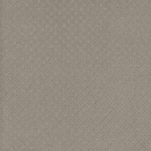 Dreamweaver Carpet Stellar Arrowhead Carpet 2725_6827
