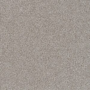 Dreamweaver Carpet Goosehill Clam Shell Carpet 2828_182