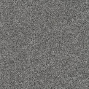 Dreamweaver Carpet Goosehill Gulfstream Carpet 2828_2601