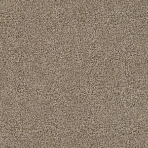 Dreamweaver Carpet Goosehill Iced Coffee Carpet 2828_373