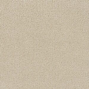 Dreamweaver Carpet Goosehill Classic Ivory Carpet 2828_4193