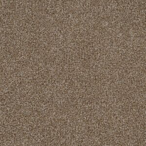 Dreamweaver Carpet Goosehill Warm Stone Carpet 2828_576