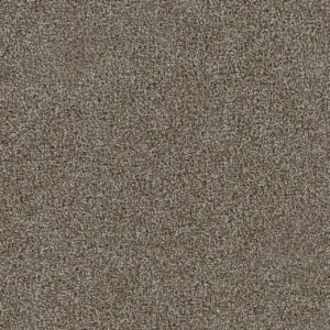 Dreamweaver Carpet Goosehill Old Harbor Carpet 2828_579