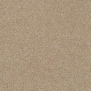 Dreamweaver Carpet Goosehill Cashmere Carpet 2828_580