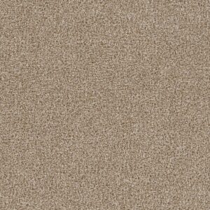 Dreamweaver Carpet Goosehill Sawgrass Carpet 2828_701