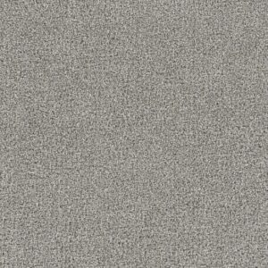 Dreamweaver Carpet Goosehill Silver Birch Carpet 2828_800