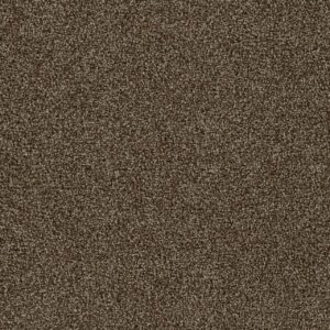 Dreamweaver Carpet Goosehill Chocolate Carpet 2828_812